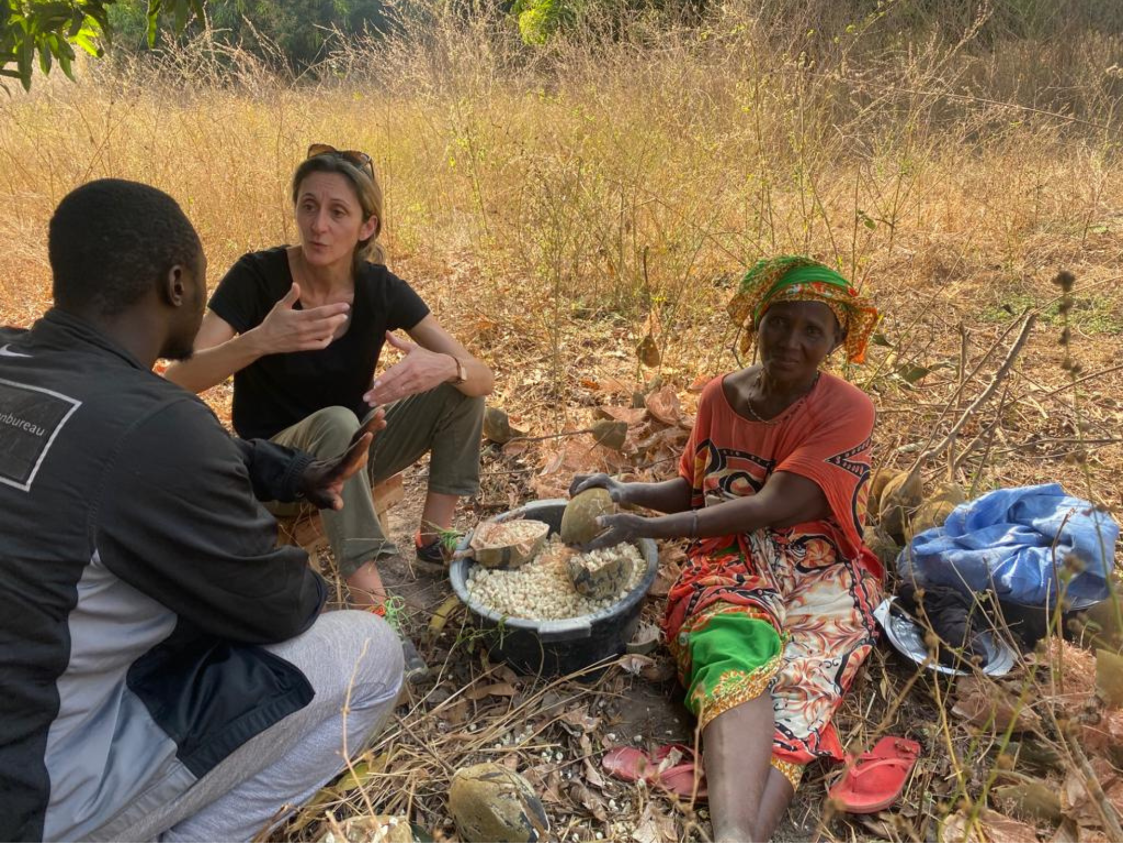 bonnes-pratiques-collecte-baobab