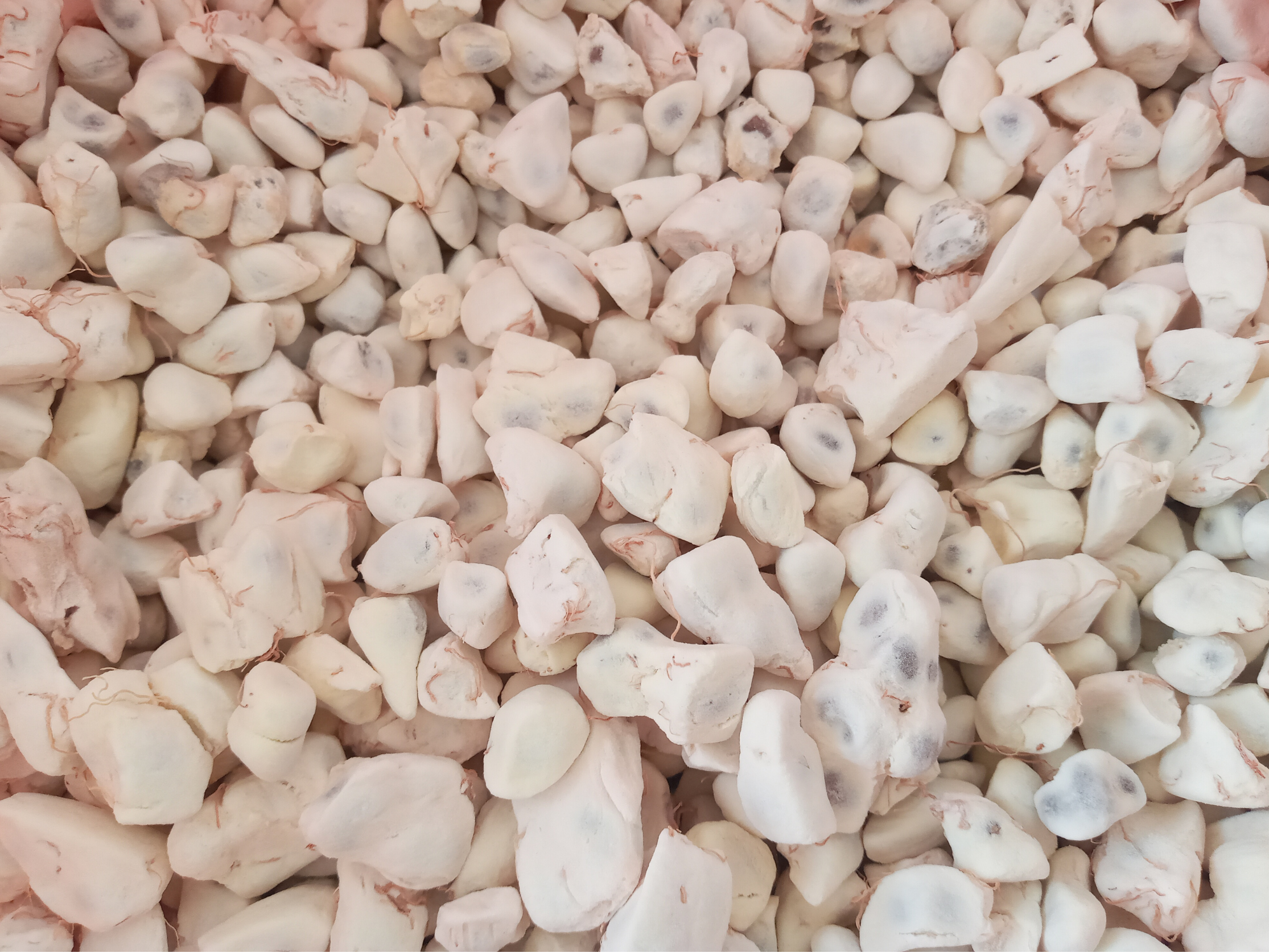 pulpe-baobab-sechee-en-concassé