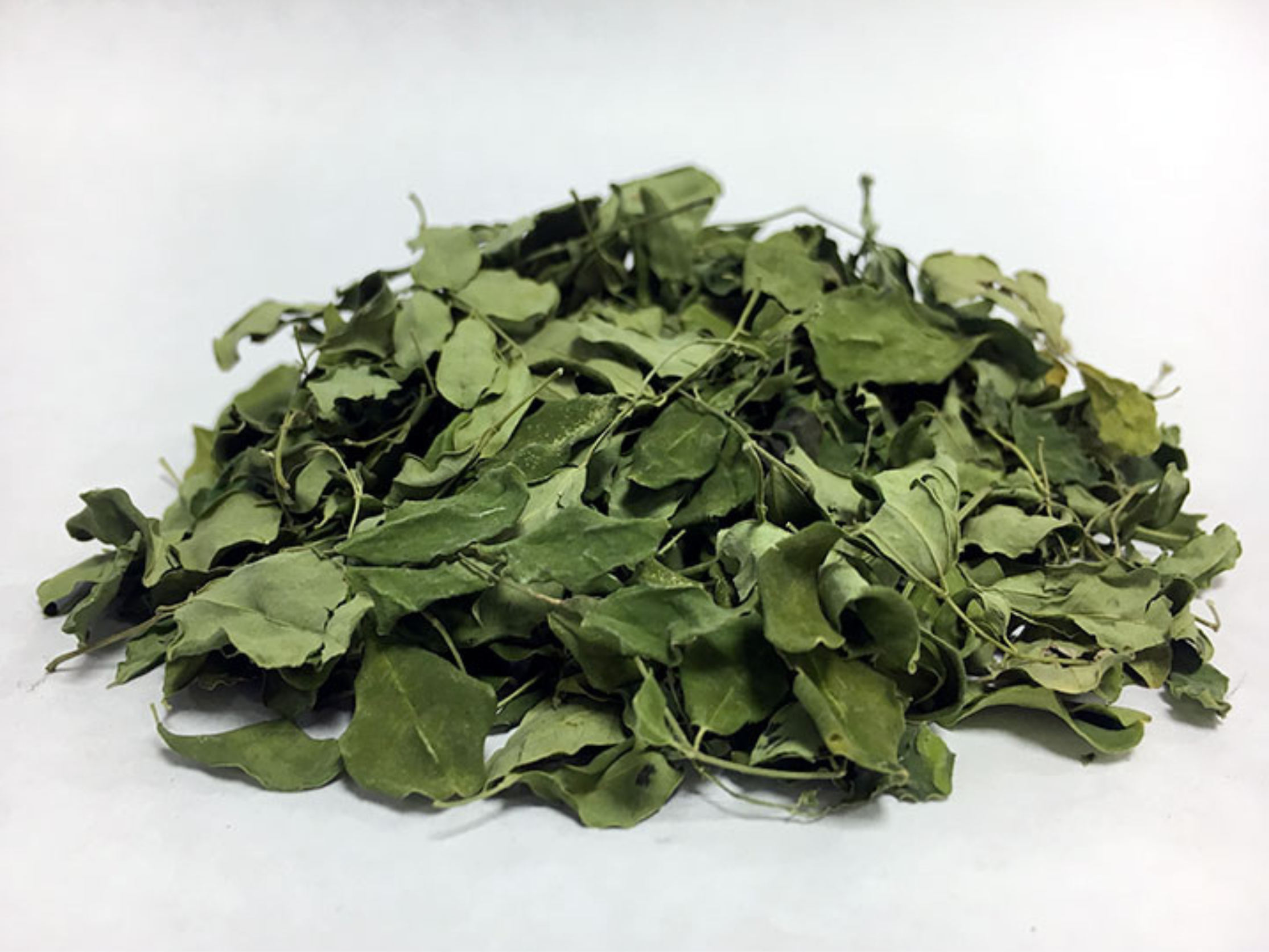 feuilles-moringa-sechees-en-vrac feuilles-moringa-sechees-en-vrac