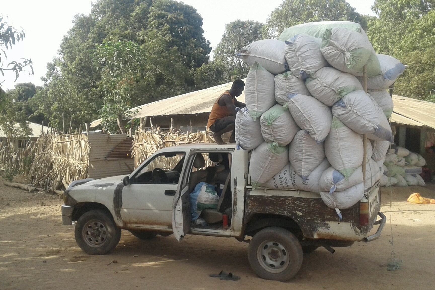 Camion transportant sac de kinkeliba