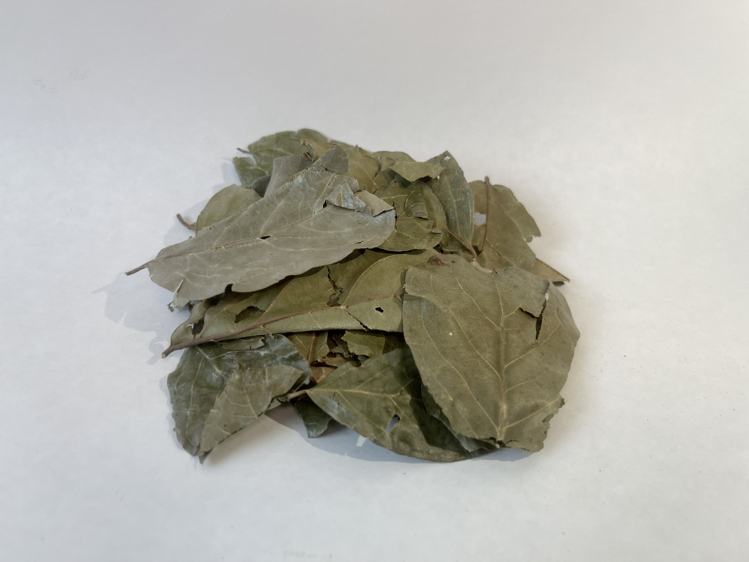 Feuille en vrac de kinkéliba