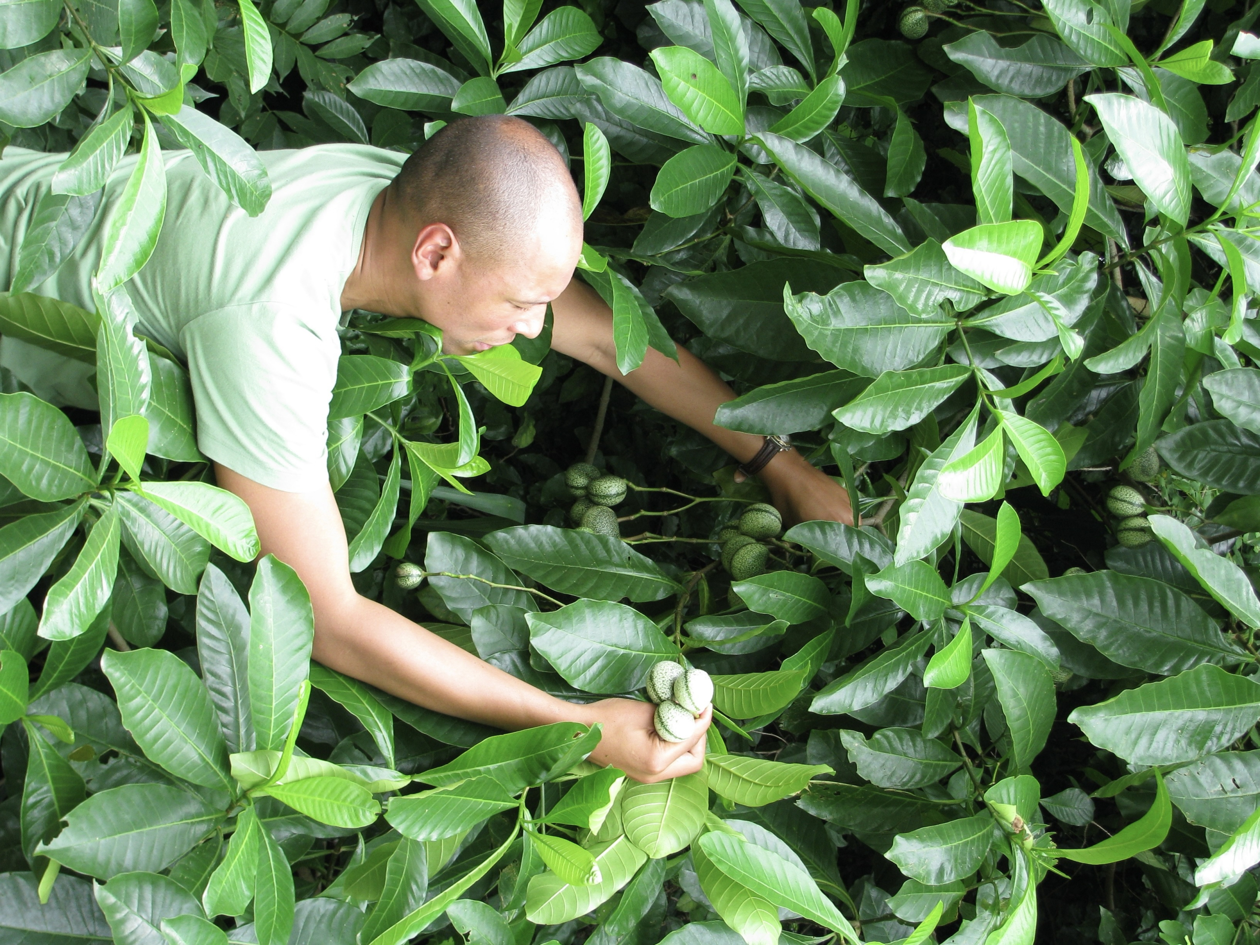 Stabilisation de l'environnement