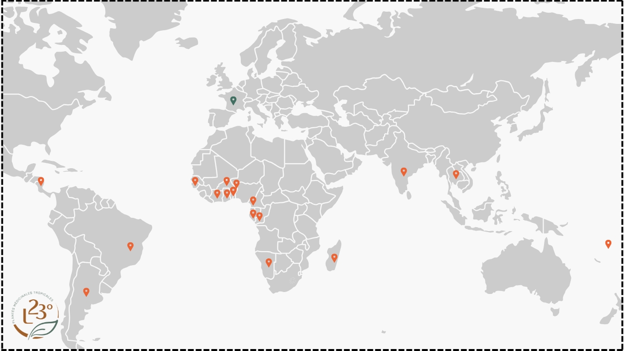 L23° et ses filières Carte (Arrière-plan virtuel )
