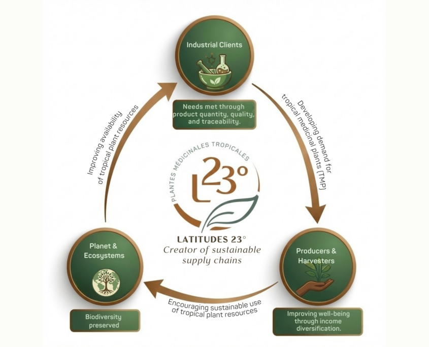 Modèle économique chez L23° (29.7 x 24 cm)