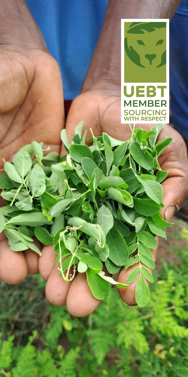 Respect des Ressources et de la Biodiversité L23° (400 x 1200 px)